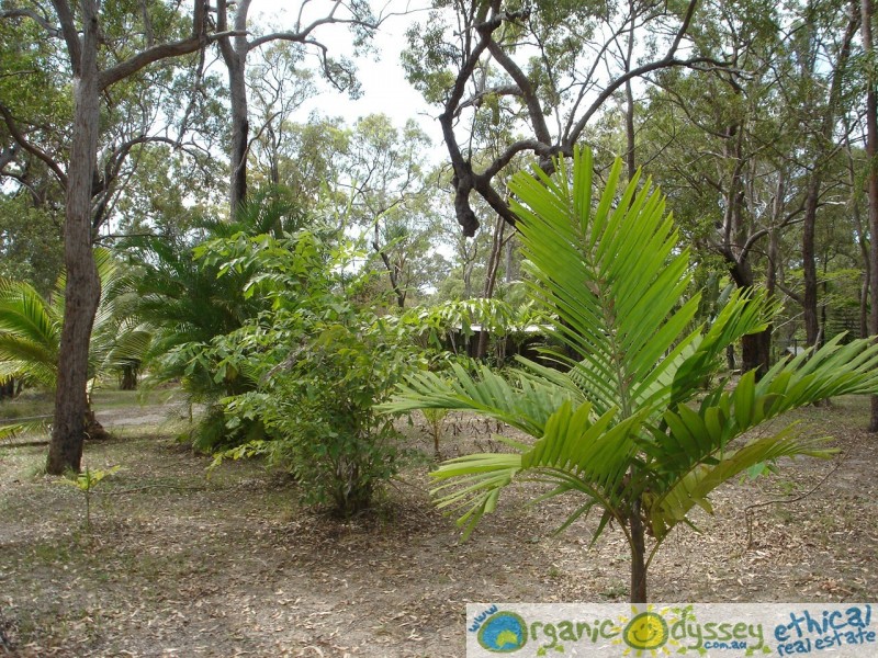 Agnes Water QLD 4677