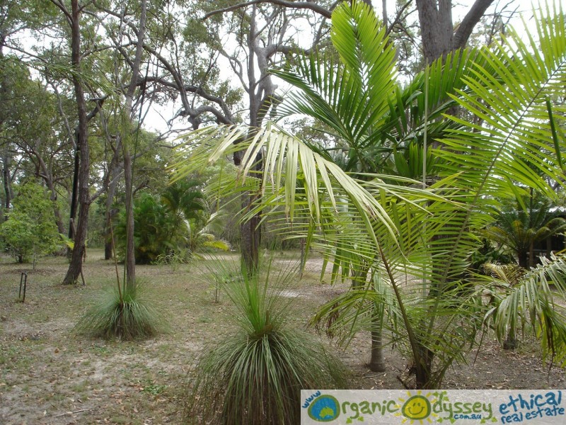 Agnes Water QLD 4677