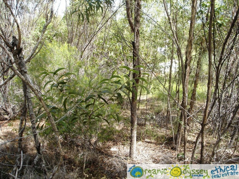 Agnes Water QLD 4677