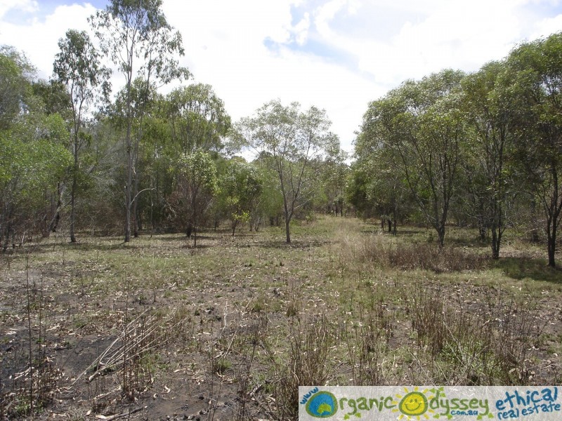 Oyster Creek QLD 4674