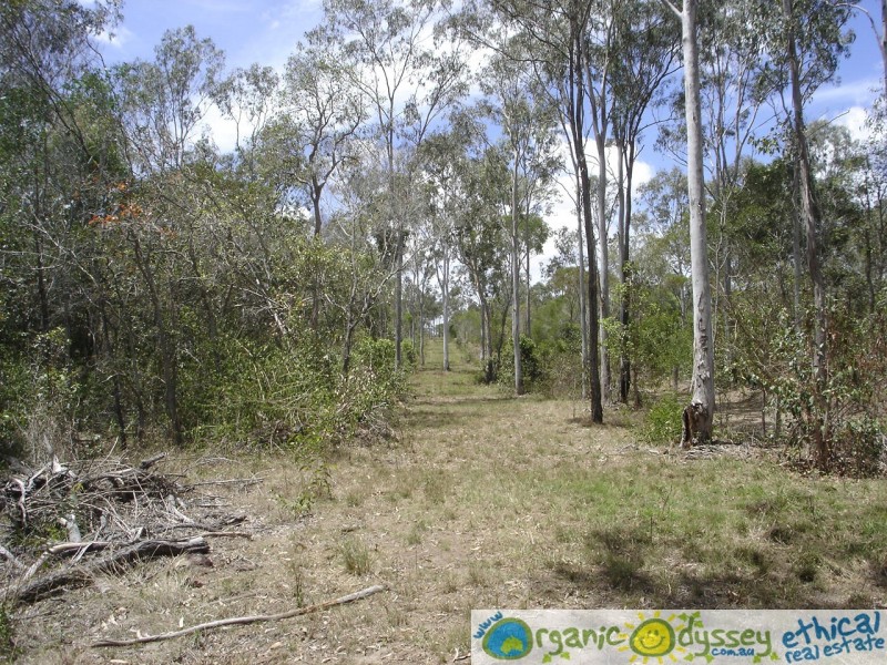 Oyster Creek QLD 4674