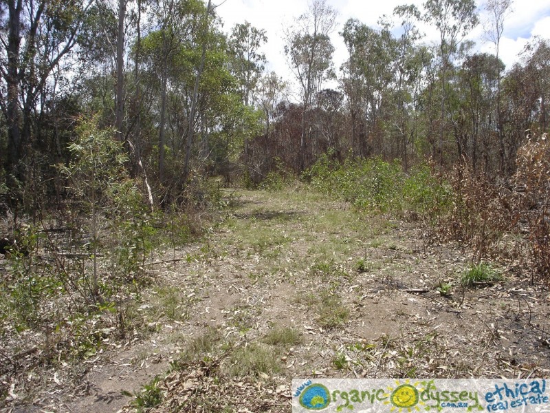 Oyster Creek QLD 4674