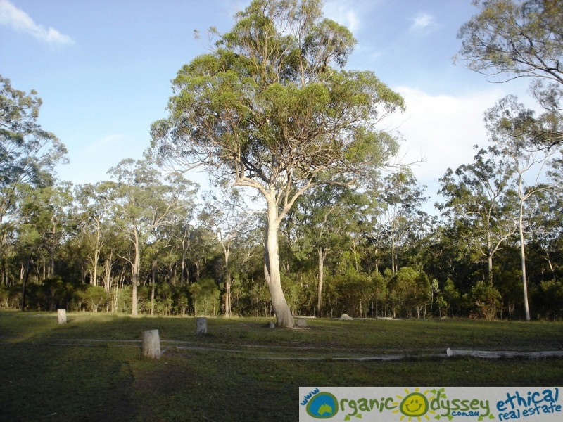 Baffle Creek QLD 4674