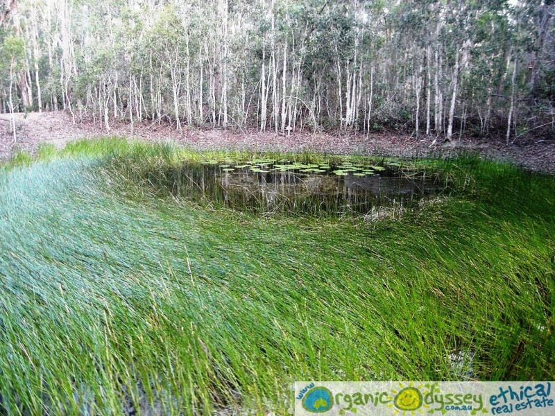 Baffle Creek QLD 4674