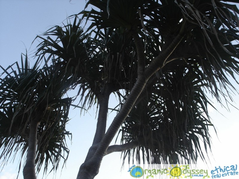 Baffle Creek QLD 4674