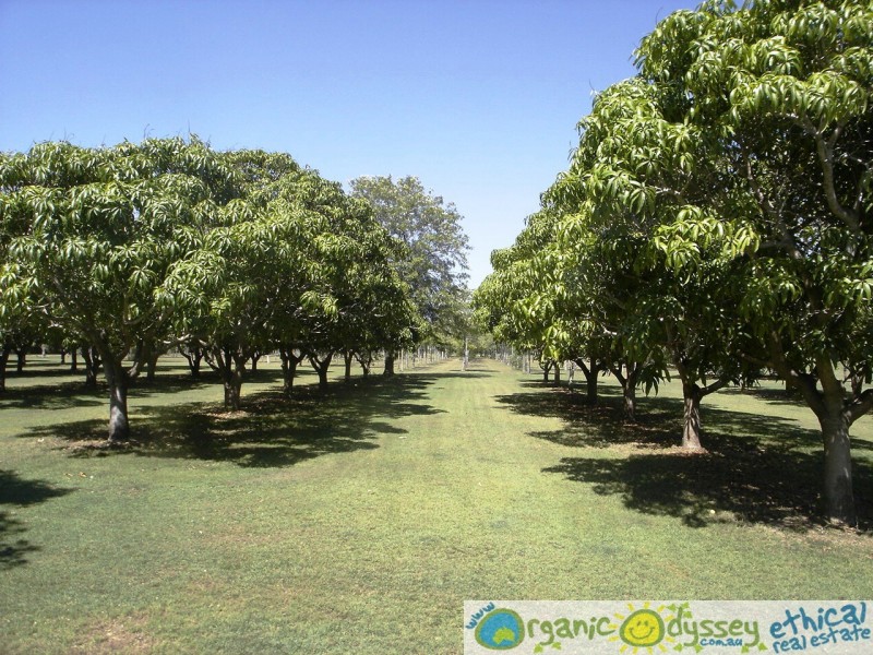 Baffle Creek QLD 4674