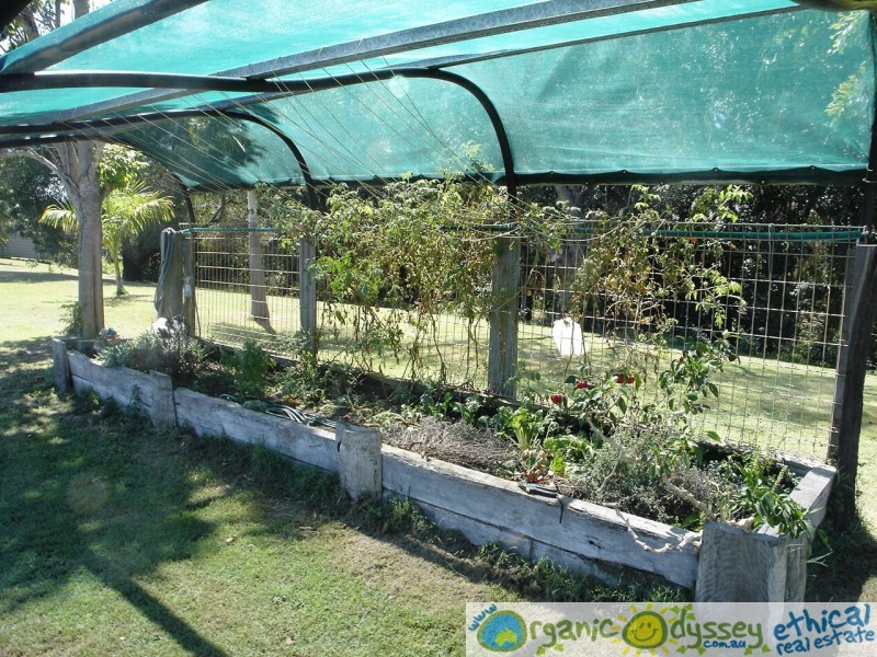 Baffle Creek QLD 4674