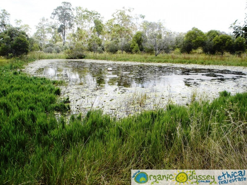 Bucca QLD 4670