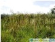 Bucca QLD 4670