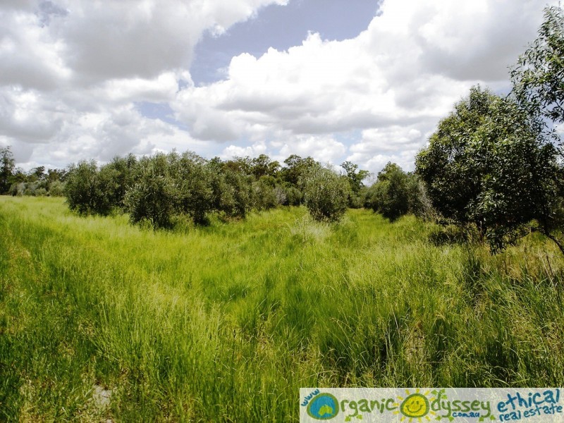 Bucca QLD 4670