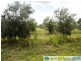 Bucca QLD 4670
