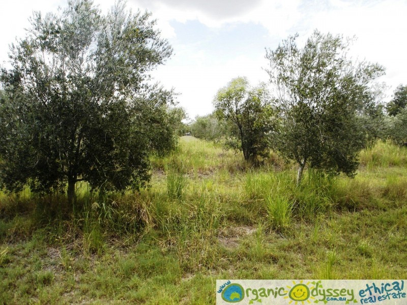Bucca QLD 4670