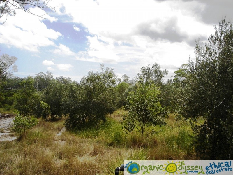 Bucca QLD 4670