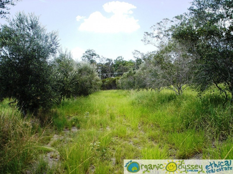 Bucca QLD 4670