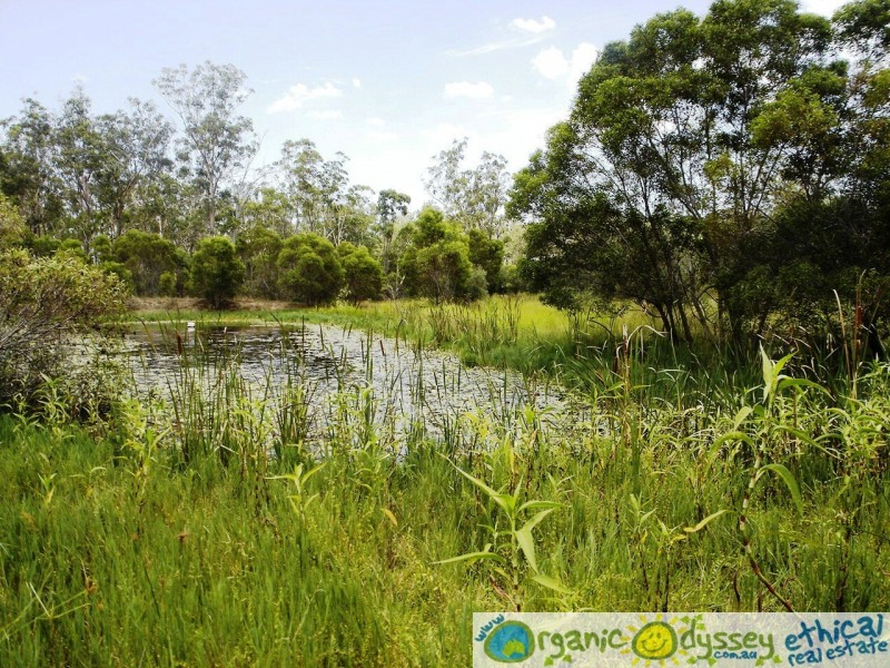 Bucca QLD 4670