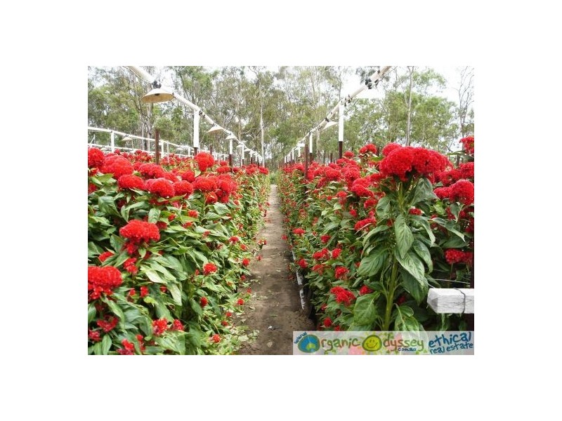 Gin Gin QLD 4671