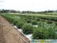 Gin Gin QLD 4671