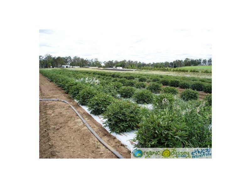 Gin Gin QLD 4671