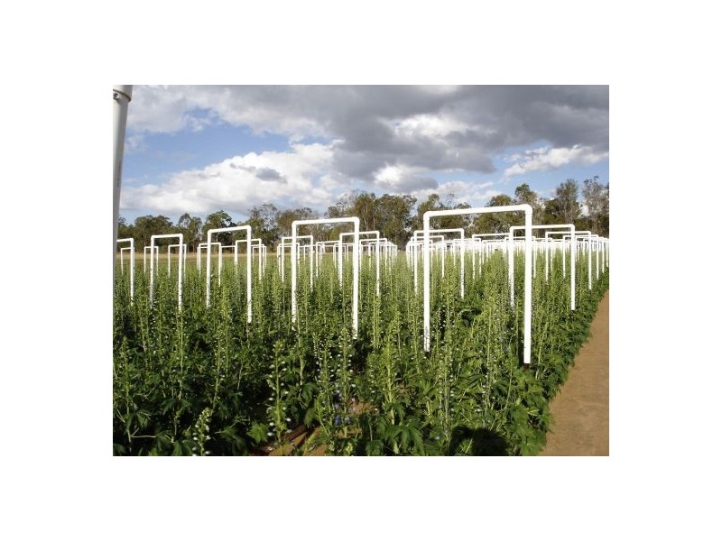 Gin Gin QLD 4671
