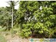 Gin Gin QLD 4671
