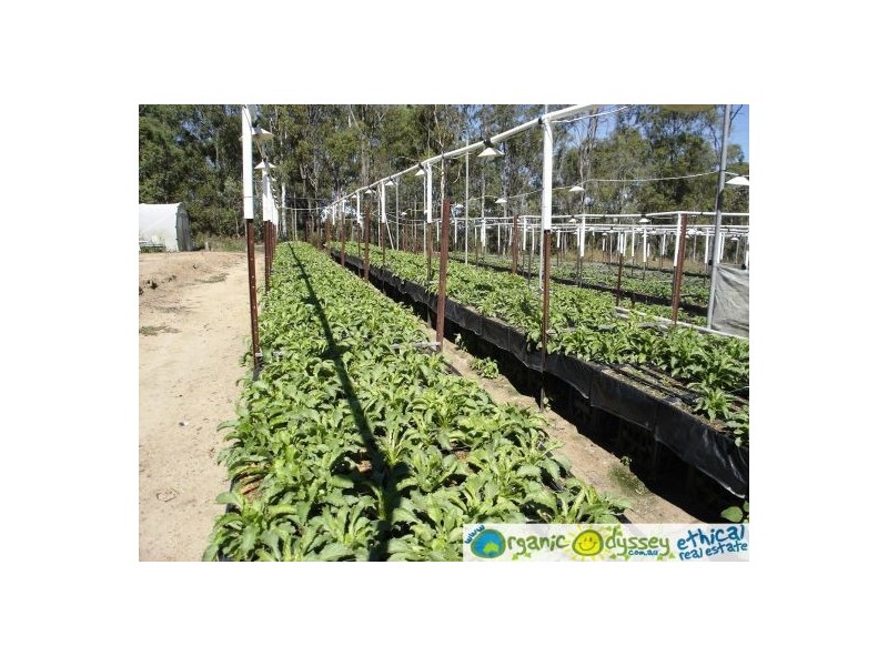 Gin Gin QLD 4671