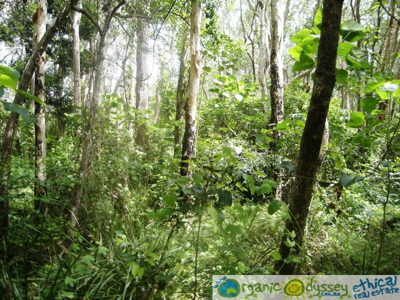 Captain Creek QLD 4677