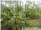 Captain Creek QLD 4677
