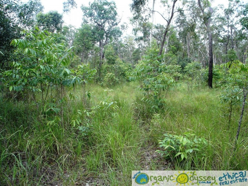 Captain Creek QLD 4677