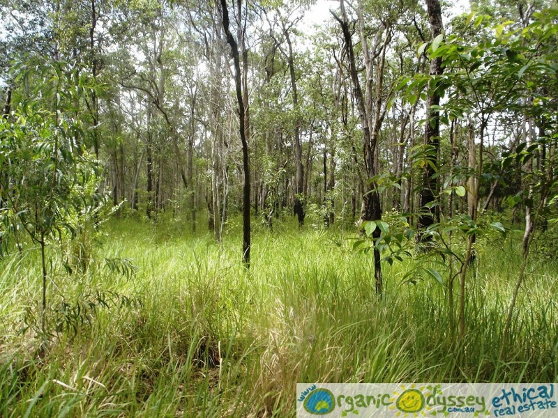 Captain Creek QLD 4677