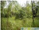 Captain Creek QLD 4677