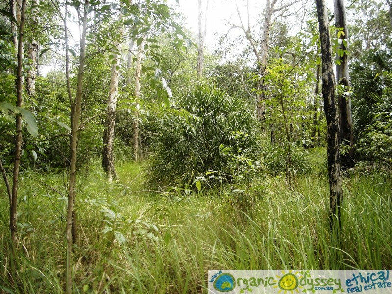 Captain Creek QLD 4677