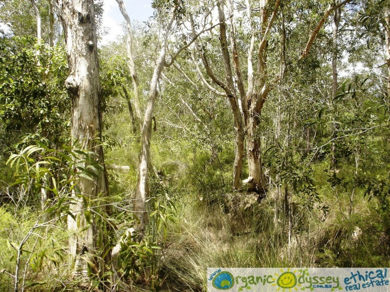 Captain Creek QLD 4677