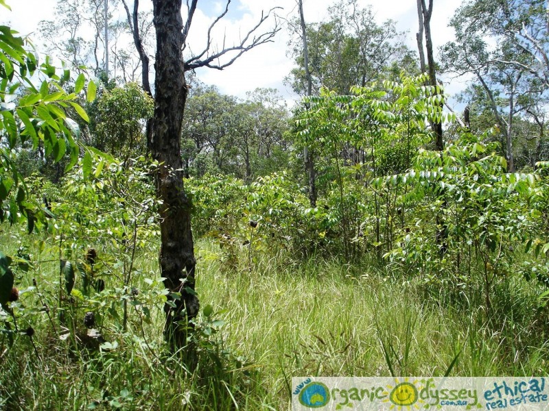 Captain Creek QLD 4677
