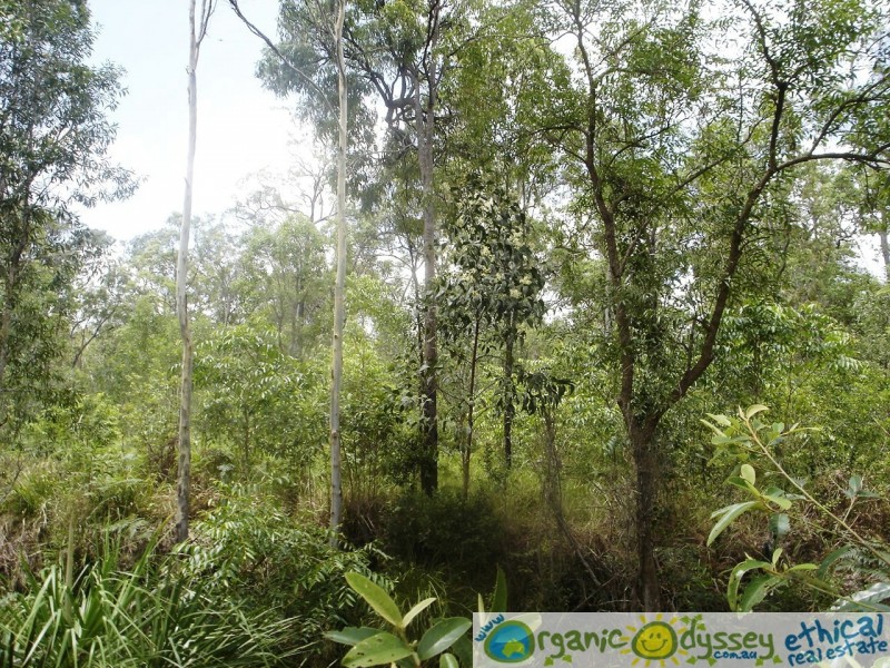 Captain Creek QLD 4677