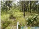 Captain Creek QLD 4677