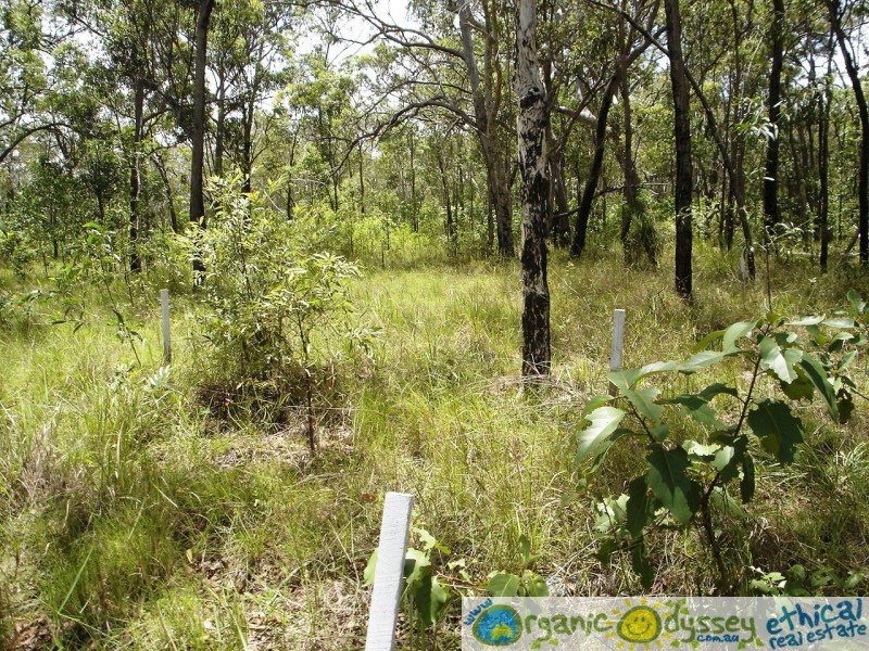 Captain Creek QLD 4677