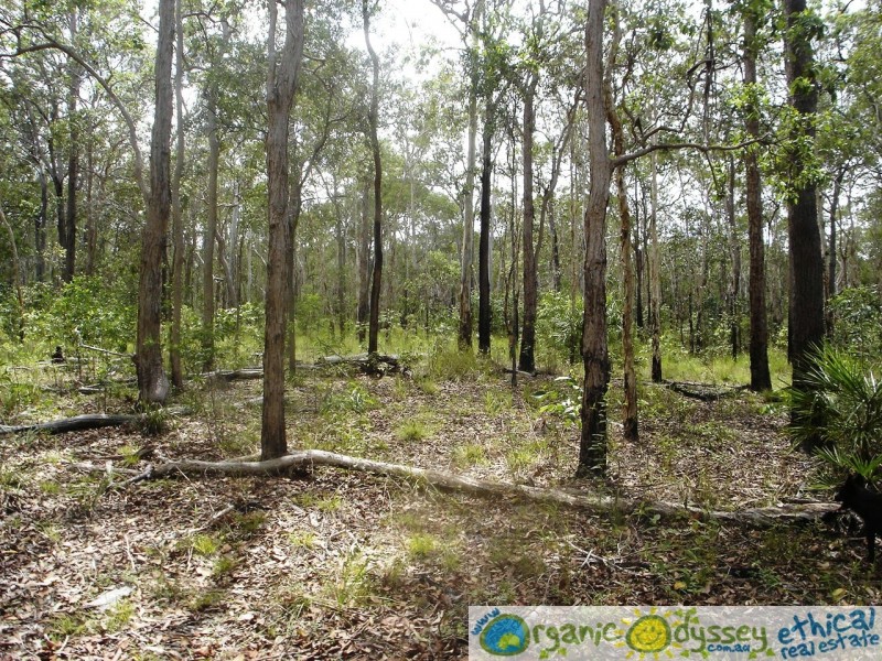 Captain Creek QLD 4677