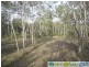 Baffle Creek QLD 4674
