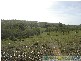 Rosedale QLD 4674
