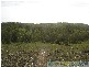 Rosedale QLD 4674