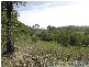 Rosedale QLD 4674