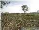 Rosedale QLD 4674