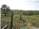 Rosedale QLD 4674
