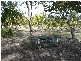 Deepwater QLD 4674