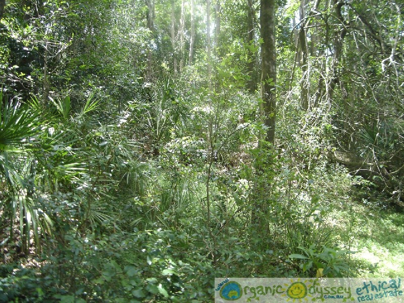 Lowmead QLD 4676