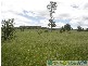 Lowmead QLD 4676