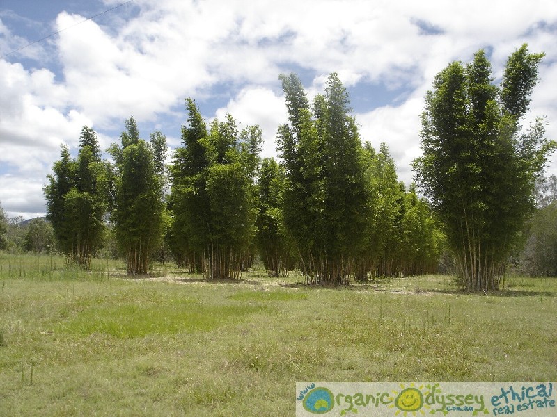 Lowmead QLD 4676