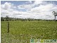Lowmead QLD 4676
