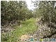 Lowmead QLD 4676