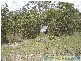 Lowmead QLD 4676